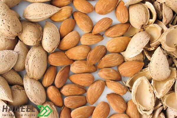 فروش عمده بادام درختی